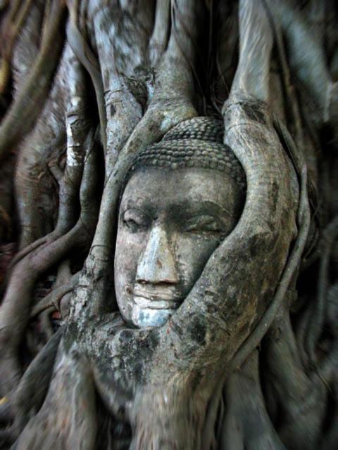 Somjai Place Ayutthaya Extérieur photo